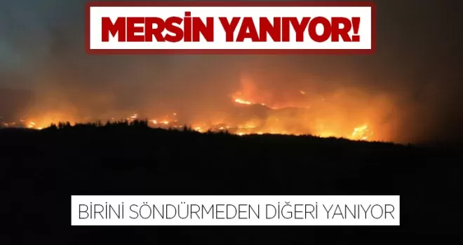 Mersin’de orman yangını