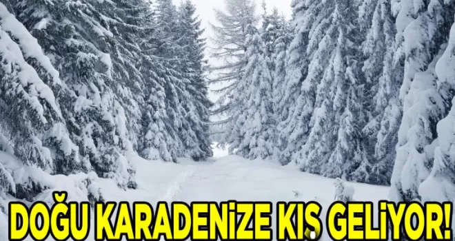Meteoroloji Uyarısı: Sağanak Yağış ve Sis Bekleniyor