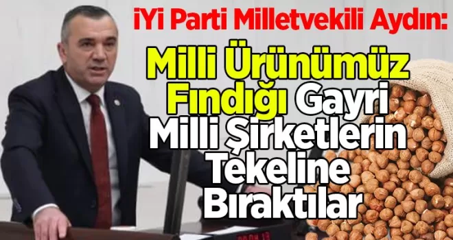 Milli Ürünümüz Fındığı, Gayri Milli Şirketlerin Tekeline Bıraktılar
