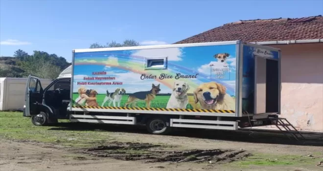 Mobil kısırlaştırma aracı Araç ilçesinde hizmet veriyor