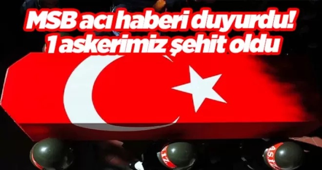 MSB acı haberi duyurdu! 1 askerimiz şehit oldu