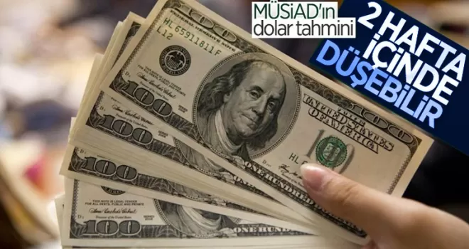 MÜSİAD'dan yıl sonu için dolar tahmini