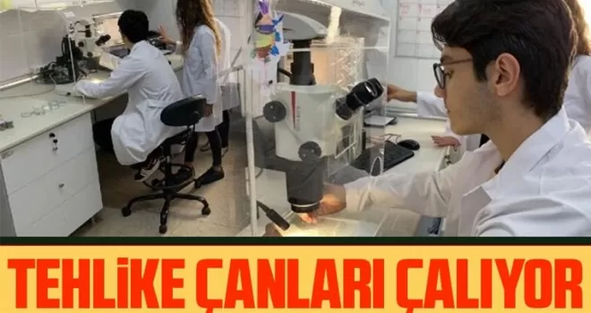Numuneler mercek altına alındı!