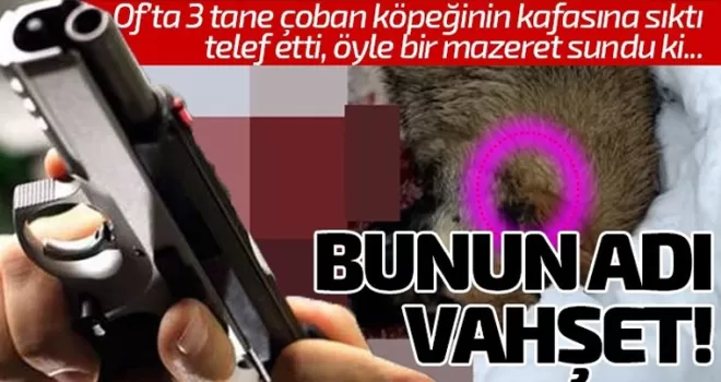 Of'ta hayvanları katletti! Sebebi ise...