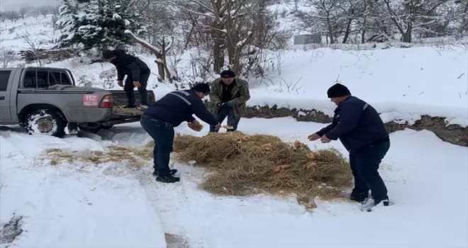 Oğuzlar'da yaban hayvanları için doğaya yem ve ot bırakıldı