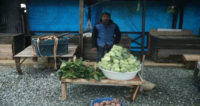 Ordu’da 1600 rakımda yetişen dürme pancarı yöre halkına gelir sağlıyor