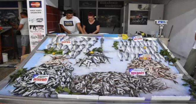 Ordu’da balıklar tezgahtaki yerini aldı