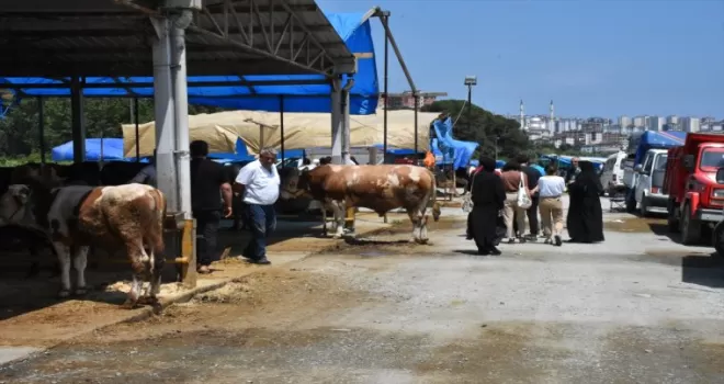 Ordu’da kurban pazarları ve kesim yerlerinde hareketlilik sürdü