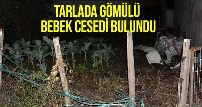 Ordu'da tarlada toprağa gömülü bebek cesedi bulundu