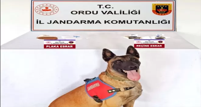 Ordu’da uyuşturucu operasyonlarında bir kişi tutuklandı