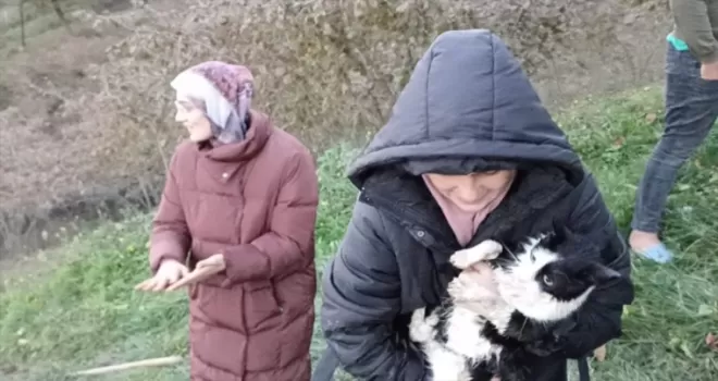 Ordu'da yağmur suyu borusunda mahsur kalan kedi kurtarıldı