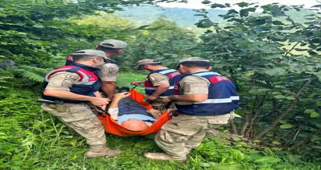 Ordu’da yediği mantardan zehirlenen kişi tedavi altına alındı