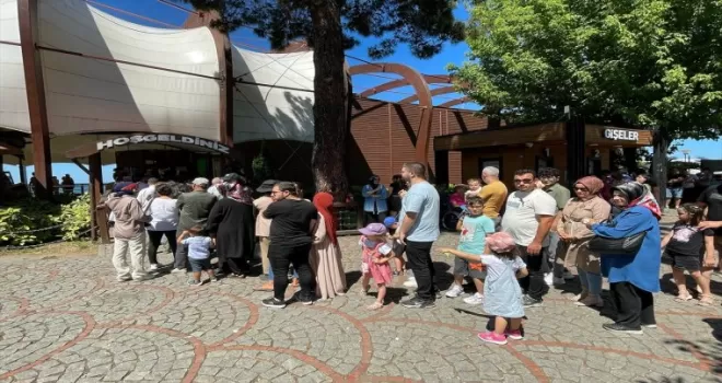 Ordu’daki teleferik Kurban Bayramı tatilinde 50 bin yolcu taşıdı