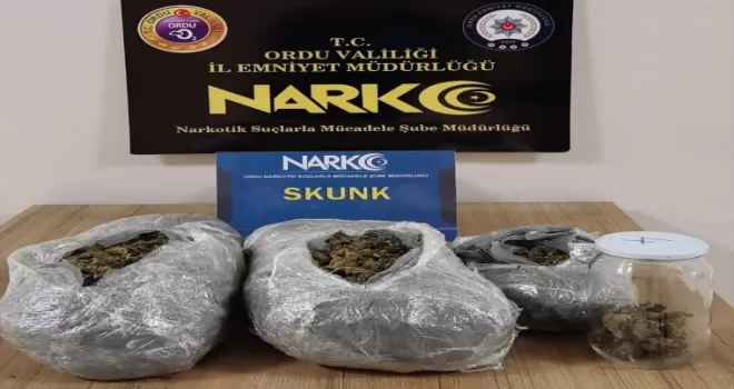 Ordu’daki uyuşturucu operasyonunda yakalanan 3 kişiden ikisi tutuklandı