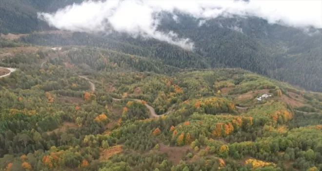 Ormanlarıyla öne çıkan Kastamonu sonbahar renklerine bürünmeye başladı