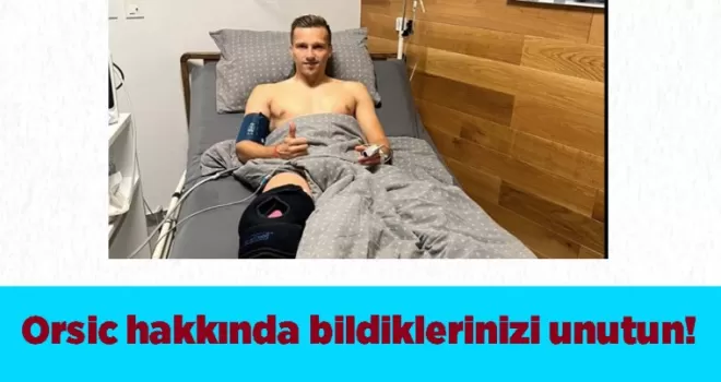 Orsic hakkında bildiklerinizi unutun! Müjdeli haber geldi