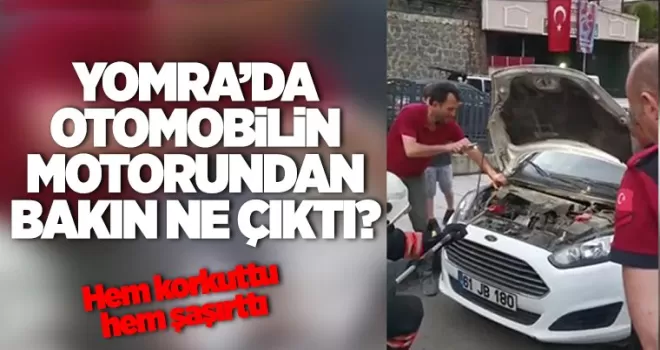 Otomobilin motor kısmından gelen seslerin nedeni herkesi şaşırttı