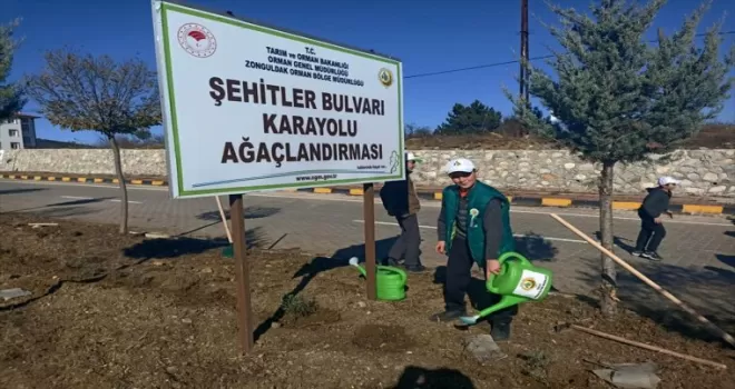 Ovacık'ta 4 bin fidan toprakla buluştu