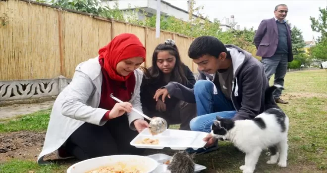 Özel eğitim öğrencileri artan yemeklerini sahipsiz kedilerle paylaşıyor