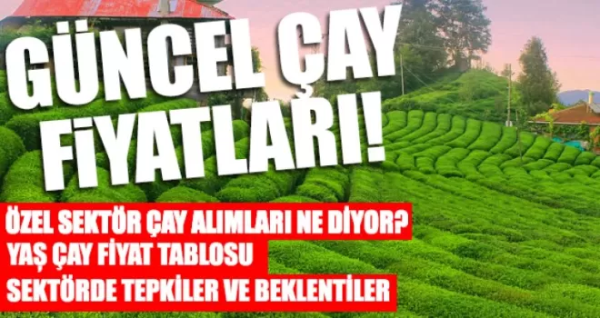 Özel Sektör Fiyatı Zorladı