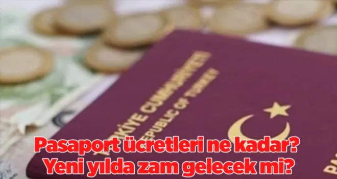 Pasaport ücretleri ne kadar? Yeni yılda zam gelecek mi?