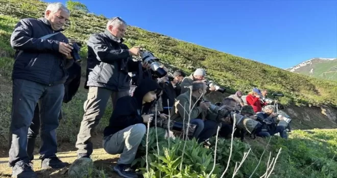 Rize’de “18. Dağ Horozu Şenliği“ gerçekleştirildi