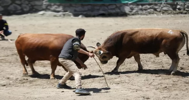Rize’de “27. Çamlıhemşin Ayder Kültür, Sanat ve Doğa Festivali“ başladı
