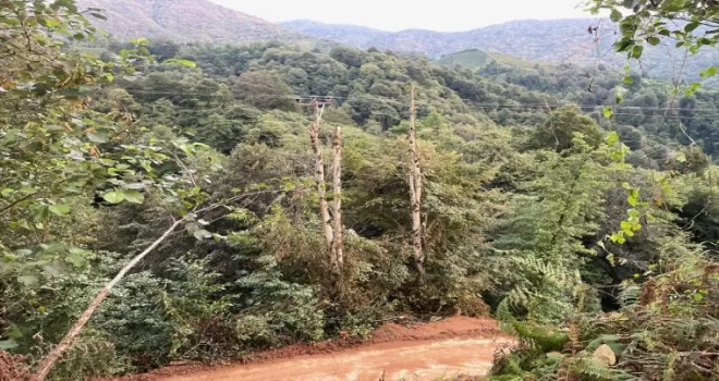 Rize’de şiddetli yağışların ardından hasar tespiti sürüyor