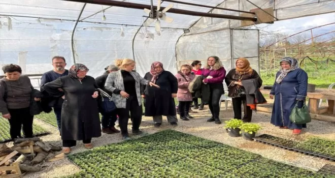 Safranbolu’da vatandaşlara sebze yetiştiriciliği kursu veriliyor
