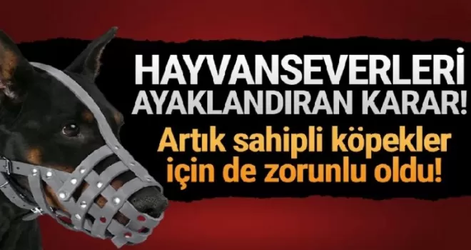 Sahipli köpeklerin tümüne ağızlık zorunluluğu getirildi