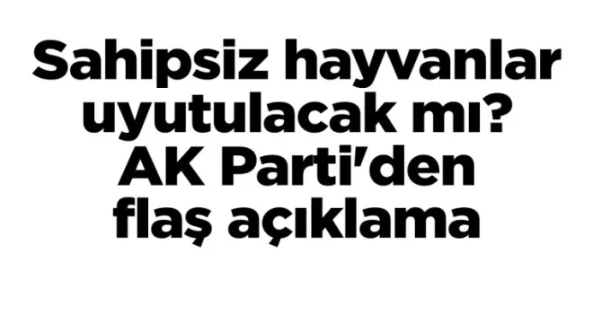 Sahipsiz hayvanlar uyutulacak mı? AK Parti’den flaş açıklama
