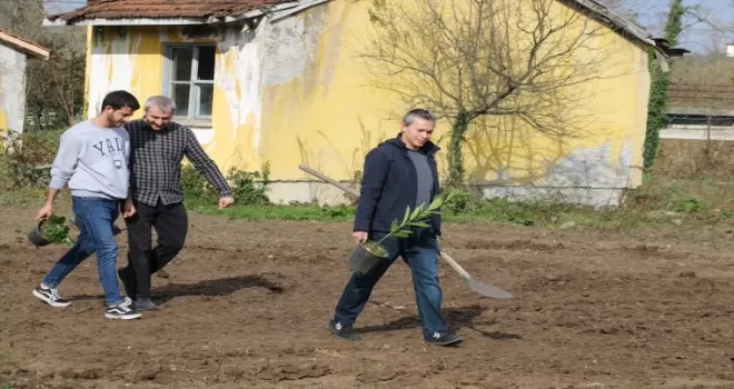 Salıpazarı ilçesinde öğretmenler için 55 meyve fidanı dikildi