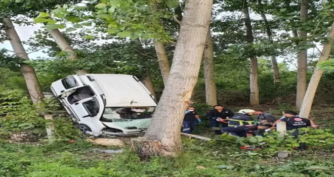 Samsun'da ağaca çarpan hafif ticari araçtaki 4 kişi yaralandı