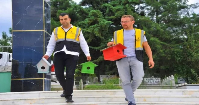 Samsun'da atık ahşaplar kuş evlerine dönüştü