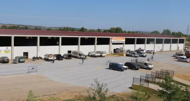 Samsun’da canlı hayvan pazarı yeniden hizmete açıldı