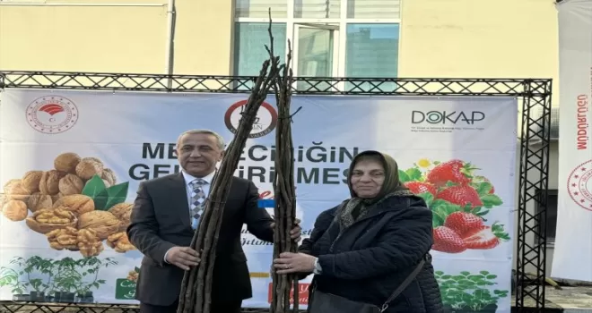 Samsun’da çiftçilere yüzde 80’i hibe olmak üzere 5 bin ceviz fidanı dağıtıldı