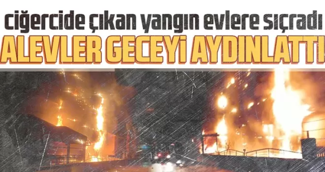 Samsun’da ciğercide çıkan yangın evlere sıçradı