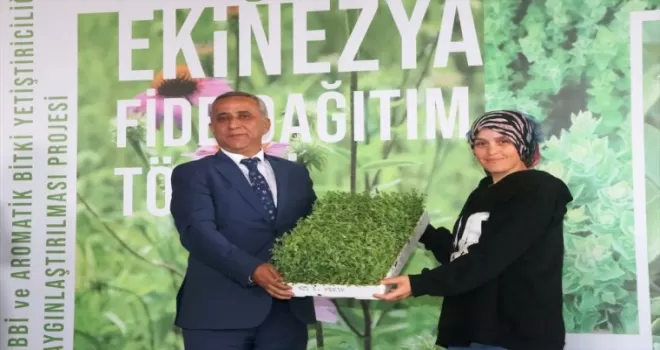 Samsun’da geçen yıl 1265 ton tıbbi aromatik bitki üretildi