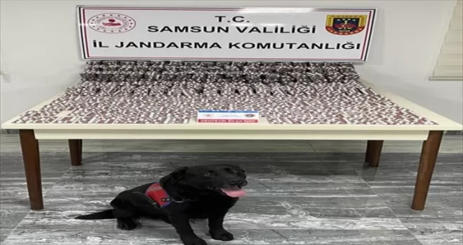 Samsun’da haziran ayında çeşitli suçlardan aranan 615 şüpheli yakalandı