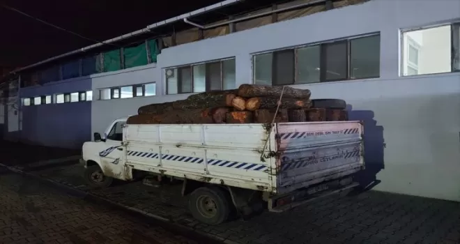 Samsun'da kaçak kesilmiş 7 ton odun ele geçirildi