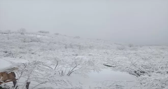 Samsun'da kar yağışı