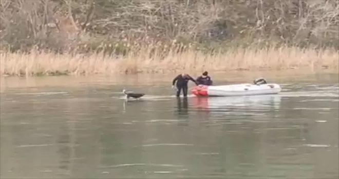 Samsun’da, Kızılırmak Nehri’nde mahsur kalan köpek kurtarıldı