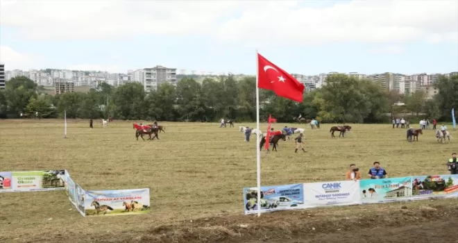 Samsun’da Rahvan At Yarışları Festivali düzenlendi