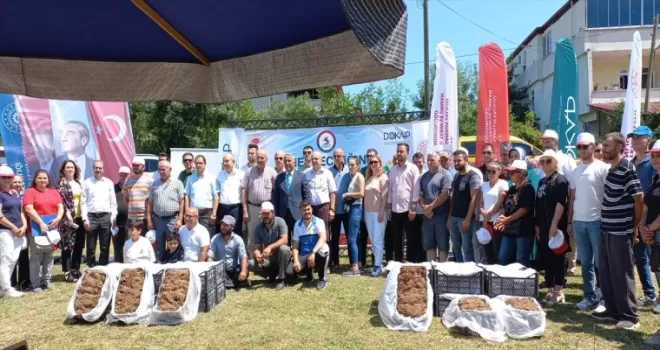 Samsun’da üreticiye çilek fidesi ve damlama sulama ekipmanı dağıtıldı