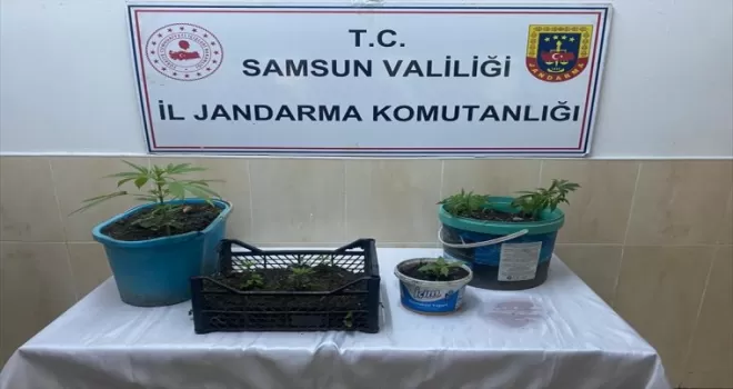 Samsun’da uyuşturucu operasyonunda 1 zanlı yakalandı