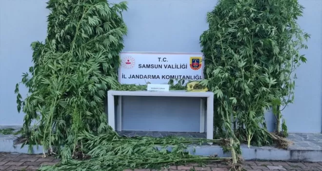 Samsun’da uyuşturucu operasyonunda bir zanlı tutuklandı