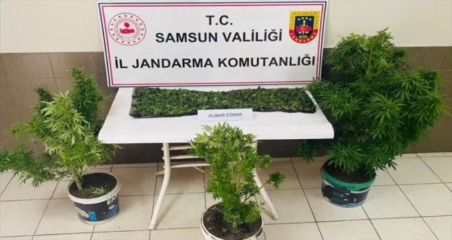 Samsun’da uyuşturucu operasyonunda yakalanan zanlı tutuklandı
