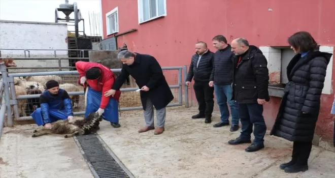 Samsun’dan deprem bölgesine et yardımı