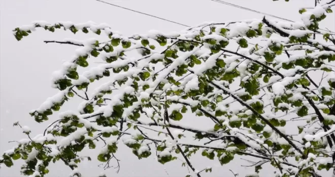 Samsun’un ilçelerinde kar yağışı