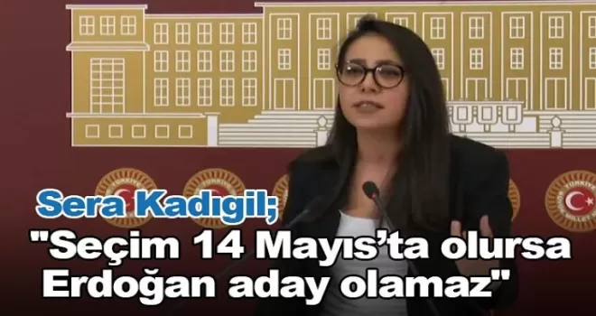 ''Seçim 14 Mayıs’ta olursa Erdoğan aday olamaz''